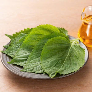 Directo de Vietnam: Hoja de perilla Prístina, cultivada con cuidado - Product Image 5