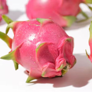 Fruit du dragon séché naturel du fleuve Mékong, collation de pitaya de qualité supérieure, qualité d'exportation - Product Image 1