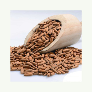 Granos de piñones naturales dulces y crujientes altamente nutritivos de la mejor calidad Venta caliente para compra al por mayor - Product Image 4