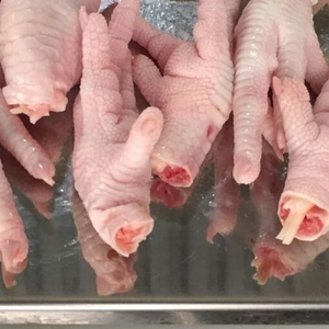 ขาไก่แช่แข็งเกรด A จากบราซิล ขายส่งจำนวนมากสำหรับการนำเข้าจากจีน - Product Image 5