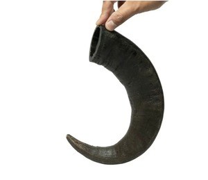 Friandise pour animaux de compagnie à l'eau séchée en corne de buffle pour chiens friandise à croquer avec Bully en vente - Product Image 4