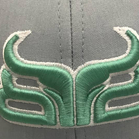 Casquettes de baseball personnalisées Fabricant OEM Casquette en sergé de coton de haute qualité réglable avec broderie ou impression Idéal pour les marques