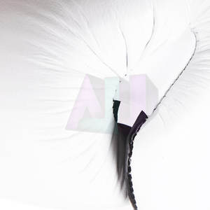 Guantes de Boxeo de Cuero de Primera Calidad para Sesiones de Entrenamiento - Diseño Personalizable, Absorben la Humedad y Son Transpirables - Product Image 4