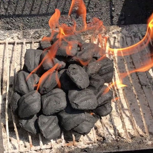 Vente en gros directe d'usine de charbon de bois instantané de qualité supérieure pour les restaurants et les traiteurs - Product Image 6
