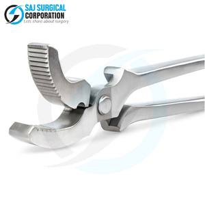 Clavadores de Pezuñas Veterinarios de Acero Inoxidable, Herramienta de Herrador Duradera y Ecológica, Cuidado de Pezuñas de Caballos, Instrumento Equino Confiable, Grado A+ - Product Image 1