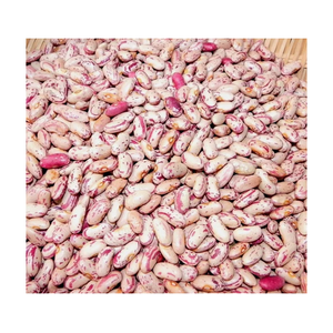 Prix de vente chaud de haricots pinto séchés/haricots mouchetés légers en quantité en vrac - Product Image 1