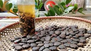 GRAINES DE GAC NATURELLES PURES À PARTIR DE FRUITS GAC MATURES POUR UN SOUTIEN IMMUNITAIRE ET UNE FONCTION DE BIEN-ÊTRE DU CORPS - Product Image 3