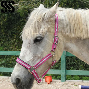 Comfortable Soft Padded Durable High Strength Horse Halter Genuine Leather Option Rust-Resistant Hardware Easy Use <b>Lead</b> <b>Rope</b> - Product Image 6