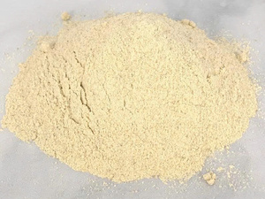 TOP VENTAS AL POR MAYOR POLVO DE BAMBÚ GRADO NATURAL ORGÁNICO CALIENTE OFERTA PREMIUM SUMINISTRO A GRANEL EXPORTACIÓN LISTO - Product Image 2