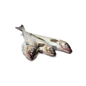 Pollock congelado de Alaska, pescado nutritivo al por mayor, envasado a granel para exportación - Product Image 1