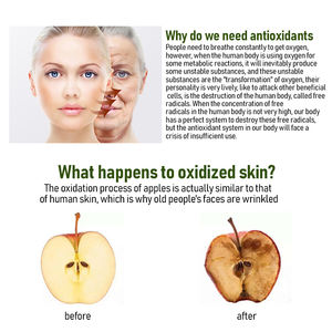 L-Teanina Cápsulas Contém Suntheanine Ajuda a Reduzir o Estresse e Sono - Product Image 6