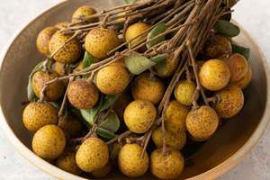 LONGAN ENLATADO TROPICAL, ALTA CALIDAD, SUMINISTRO AL POR MAYOR OEM - Product Image 4