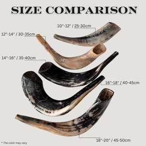 Shofar Hecho a Mano con Cuerno de Carnero, Kosher, Cuerno Musical para Rituales Judíos - Product Image 6