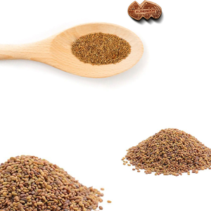 Luzerne | Largement préféré pour les régimes sains de bétail - Product Image 4