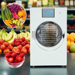 Precio liofilizador industrial de frutas alimentos <span class=keywords><strong>laboratorio</strong></span> por producción-sublimacion mini casero máquina liofilizadora casera - Product Image 1