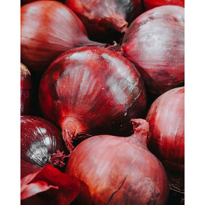 Cebollas Rojas frescas de alta calidad, tamaño de 5-7cm, venta al por mayor, cebollas de piel roja púrpura, suministro a granel a precio de fábrica, la mejor oferta del mercado - Product Image 2