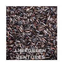 Double langues en vrac Marque Niger Seeds Guizotia Abyssinica Graine noire Exportateur et fournisseur 12 mois Durée de conservation Origine Inde