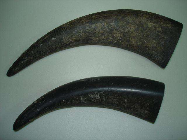 ธรรมชาติ