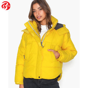 2023 nouvelle mode à manches longues Premium matelassé coton rembourré respirant veste femmes hiver chaud imperméable recadrée bouffant veste - Product Image 2