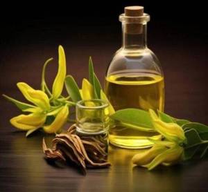 Aceite esencial de calamus puro 100% Venta al por mayor Aceite esencial de calamus a granel Aceite de calamus natural y puro - Product Image 1