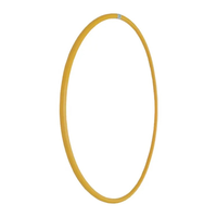 Sports et divertissement Fitness Dance Hoop pour l'exercice et le plaisir