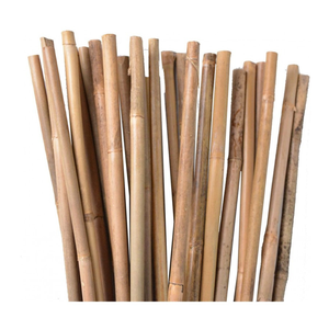 Venta al por mayor de postes de bambú ecológicos para uso en interiores y exteriores a precios asequibles - Product Image 1