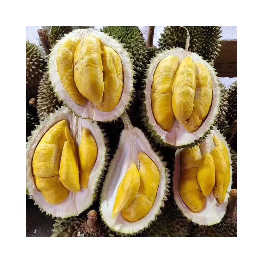 פרימיום באיכות גבוהה היל טרי Musang מלך דוריאן D197 מפורסם טרופי טרי פירות ממלזיה שמנת מתוקה עבה טעם