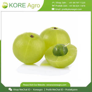 100% poudre d'extrait d'Amla sans produits chimiques OEM marque privée fabricant d'extrait de fines herbes de groseille à maquereau indienne - Product Image 4