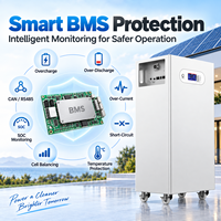 Batterie de stockage d'énergie domestique Avepower 51,2 V LiFePO4 10-16 kWh 200-314 Ah avec BMS intelligent, solaire, ESS, OEM, ODM, vente en gros