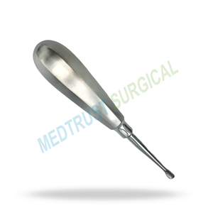 Elevador Dental Quirúrgico Estándar de 5.1mm con Punta de Ala 501 para Extracción de Dientes y Elevación de Raíces - Product Image 4