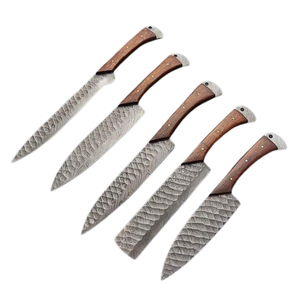Offre Spéciale 5 pièces ensemble de couteaux de cuisine en acier damas manche en bois ensemble de couteaux de Chef professionnel pour Restaurant - Product Image 1