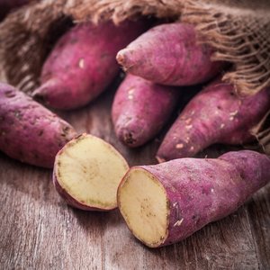 Bandes de patates douces séchées FD en gros |   Collation végétalienne saine sans sucre ajouté |   Faible humidité |   Fournisseur direct du Vietnam - Product Image 5