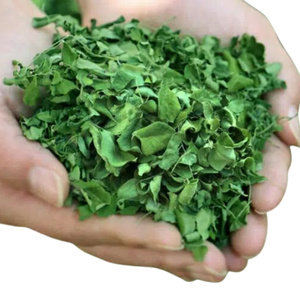 Nutriment Dense Organique De Qualité Alimentaire Extrait De Plantes Poudre De Feuille De Moringa Approvisionnement En Vrac pour Les Suppléments - Product Image 2