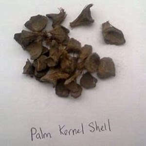Compre Palm Kernel Shell (PKS) para biocombustible y material industrial a la venta a precio de lote - Product Image 6