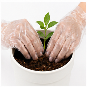 Kangle Waterproof Disposable PE Gloves Clear Plastic Poly Gloves Heavy Duty Food Grade Kitchen Cleaning Industrial - Product Image 6
