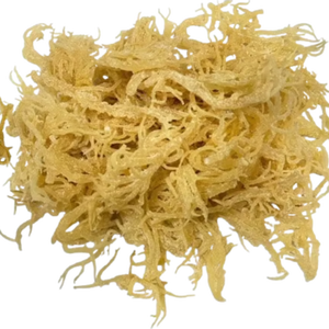 VIET NAM <b>DRIED</b> IRISH SEA <b>MOSS</b>// Ms. Lima - Product Image 1
