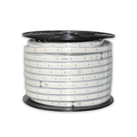 Lámpara decorativa de 8W, tira de luces LED con cambio de Color RGB