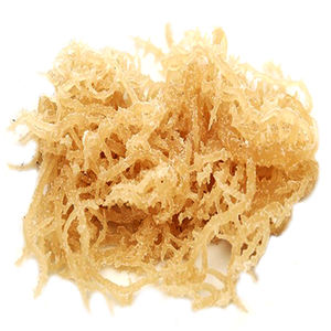 <b>Dried</b> Seamoss (Sea <b>Moss</b>) from Vietnam | Bulk Orders Accepted - Product Image 1