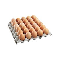 Œufs à couver bruns frais de qualité supérieure, orientés vers la vente au détail, emballage personnalisé OEM/ODM, haute valeur nutritive, vente en gros à l'échelle du Brésil