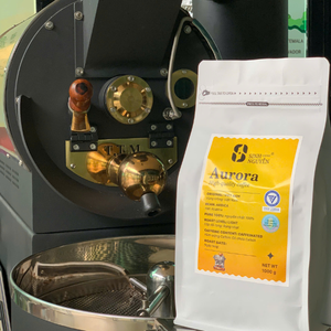 Café Arabica de qualité supérieure Torréfaction moyenne Aurora Idéal pour les boissons au café et les infusions à froid - Product Image 2