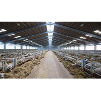 Bâtiment d'élevage de chèvres préfabriqué à faible coût en acier, anti-corrosion, pour moutons et bétail