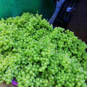 Uvas de Mesa Grandes Sin Semillas, Venta al Por Mayor - Product Image 4