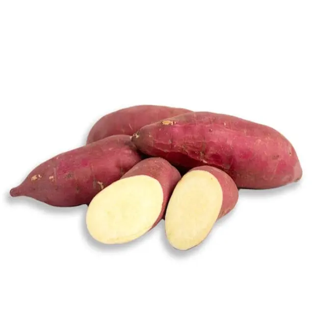 ジャガイモ新鮮サツマイモ高品質低価格プロ輸出卸売業者ジャガイモ
