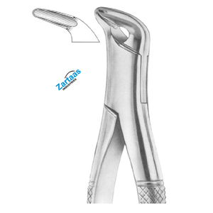 Pince d'extraction dentaire en acier inoxydable de haute qualité Fig 34 pour les parties inférieures et les racines - Product Image 5