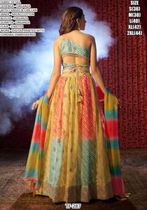 Conjunto de Lehenga Choli Semi-Cosido de Diseño Moderno para Fiestas, Tela de Organza, Dupatta de Secado Rápido para Ocasiones Elegantes, Todas las Temporadas - Product Image 5