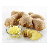 Gingembre Biologique (Poudre de Gingembre Séché) Jaune Vif de Thaïlande pour l'Europe - Conforme aux Normes UE Goût Épicé Fort 10Kg/Carton PVC