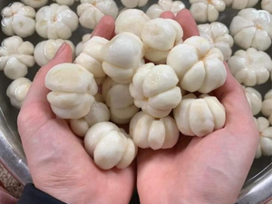 มังคุดแห้งแบบธรรมชาติกรุบกรอบและมีคุณค่าทางโภชนาการขนมผลไม้เขตร้อนจากเวียดนาม - Product Image 4