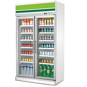 Rifornimento di fabbrica supermercato Ultra-grande capacità di gelato frigorifero fabbrica all'ingrosso singolo temperatura stand up freezer