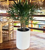 Macetas Circulares Minimalistas de Fibra de Vidrio de Alta Calidad, Personalizables, Grandes, para Jardín Exterior, con Hermosas Opciones de Color y Tamaños