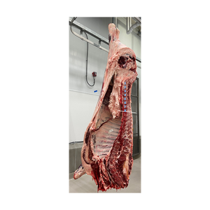 เนื้อวัวทั้งตัวพร้อมส่ง จัดส่งรวดเร็ว สำหรับการจัดหาจำนวนมากและคำสั่งซื้อปริมาณมาก - Product Image 4